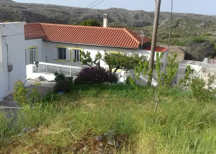 Lemon Garden 2