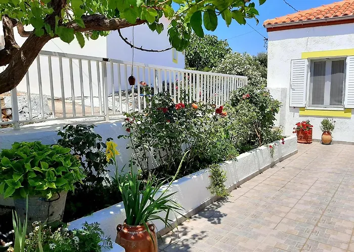 Lemon Garden 2