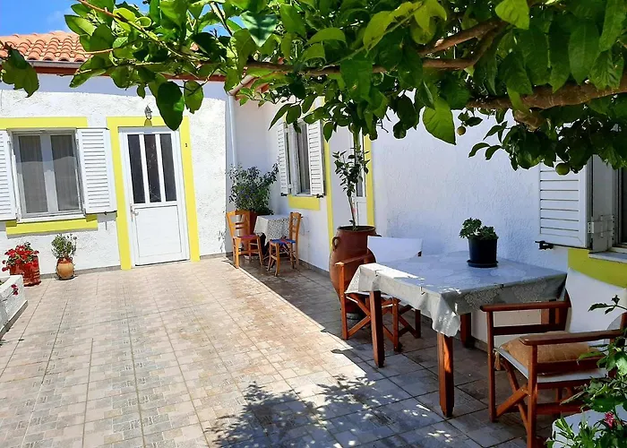 Lemon Garden 2