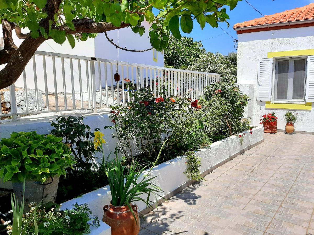 Lemon Garden 2 *